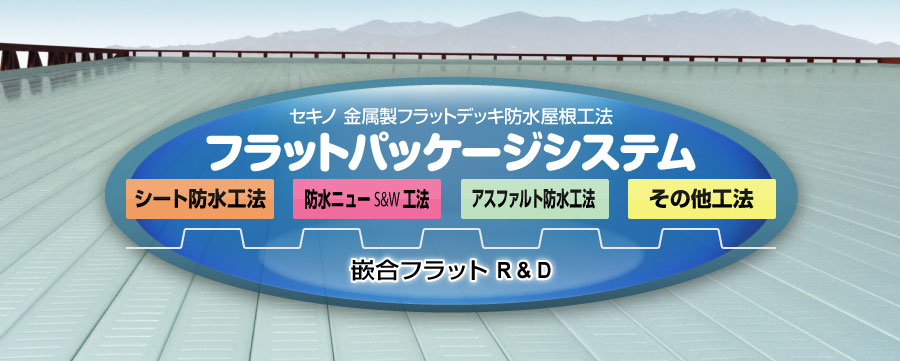 フラットパッケージシステム タイトル