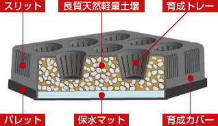 カセット