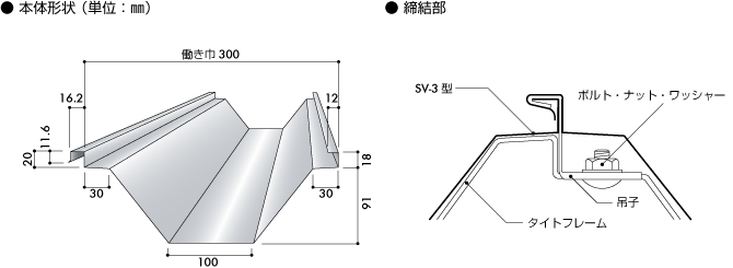 本体形状