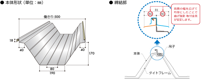 本体形状