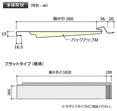 本体形状